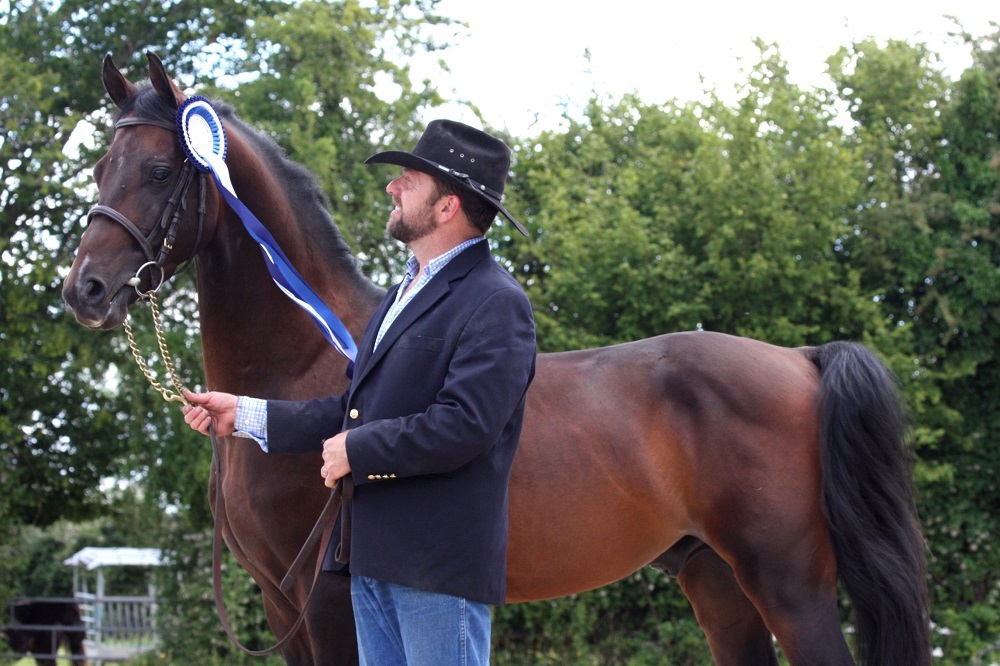 Expat Morgans leading sport stud farm in Europe